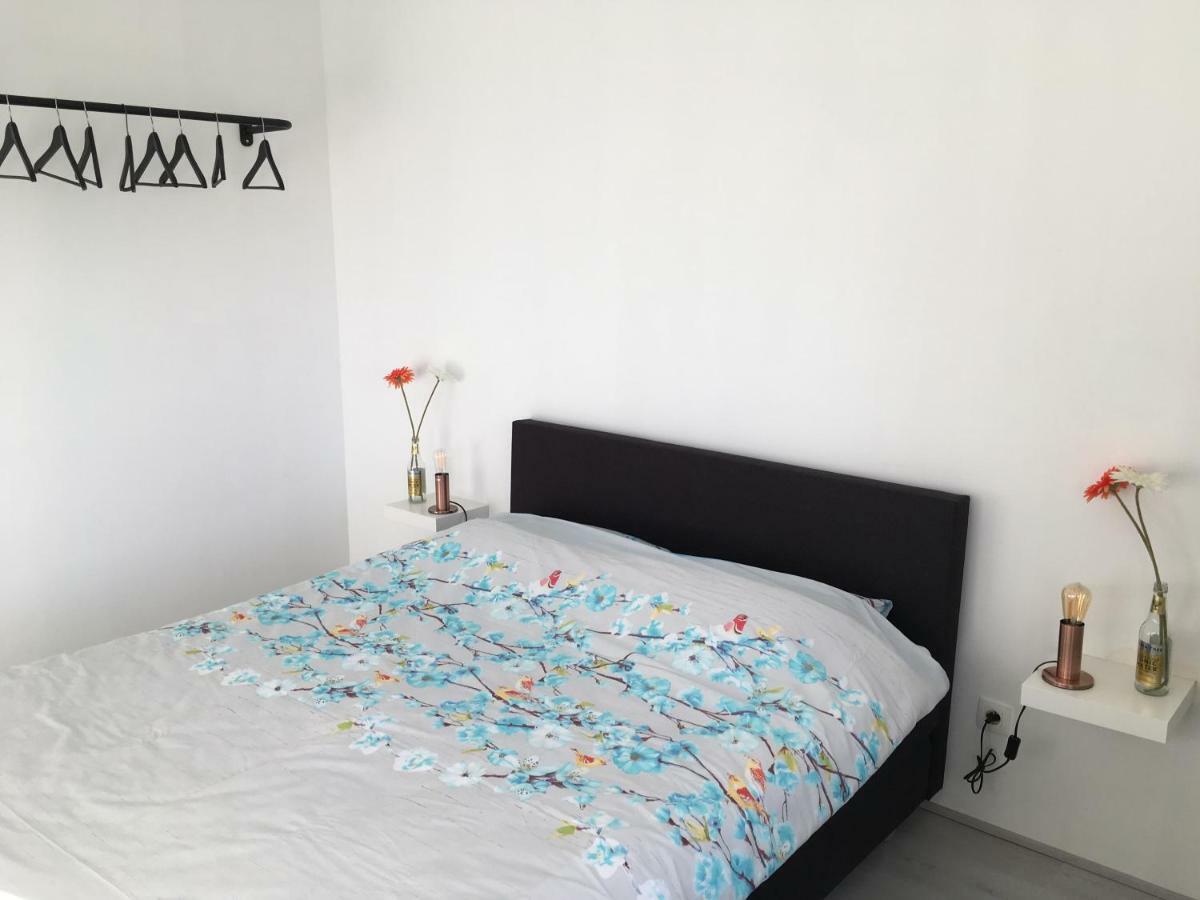 Appartement Thea ミデルケルケ エクステリア 写真