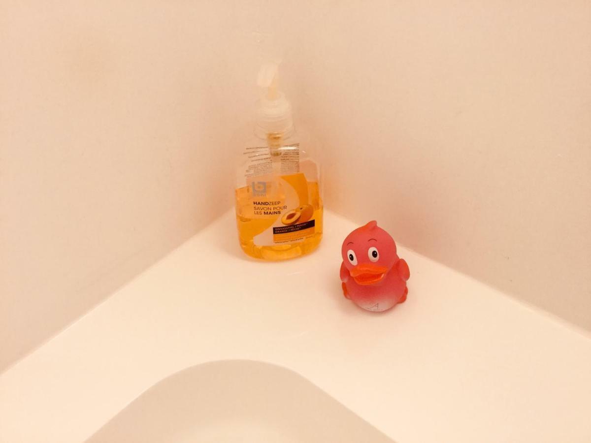 Appartement Thea ミデルケルケ エクステリア 写真